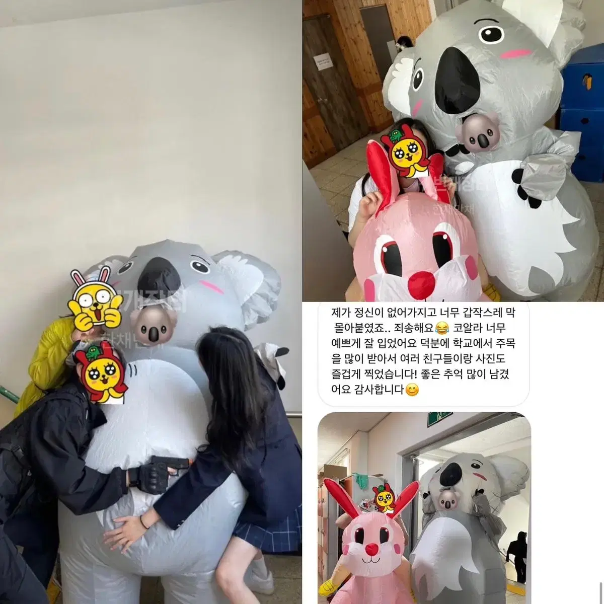 코알라 에어슈트 졸업사진 대여